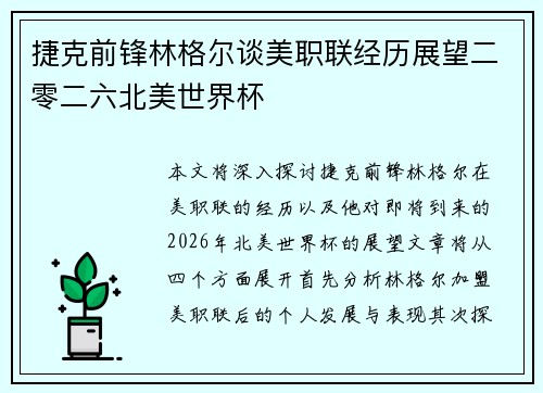 捷克前锋林格尔谈美职联经历展望二零二六北美世界杯